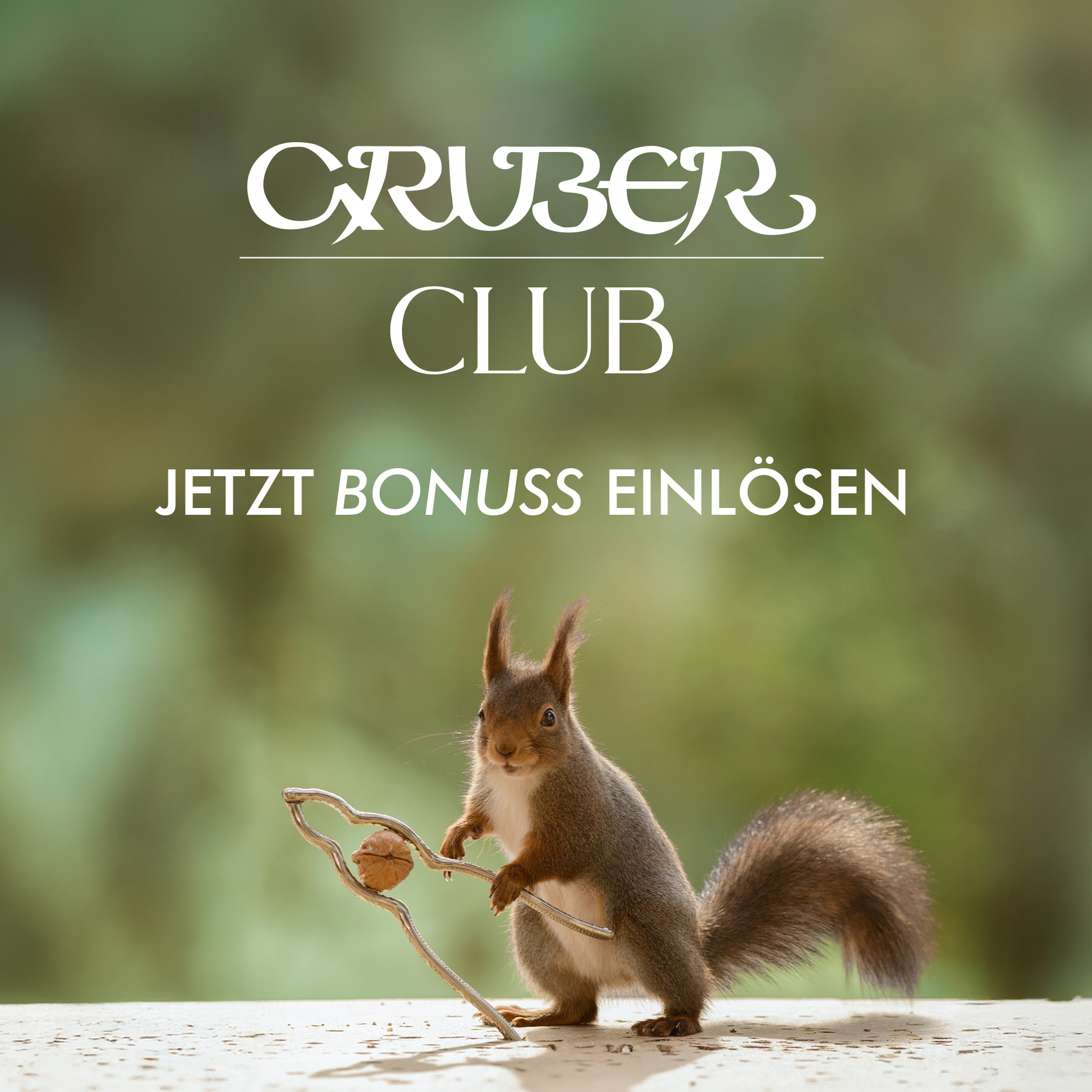 Jetzt BoNüsse knacken in der Gruber Club App