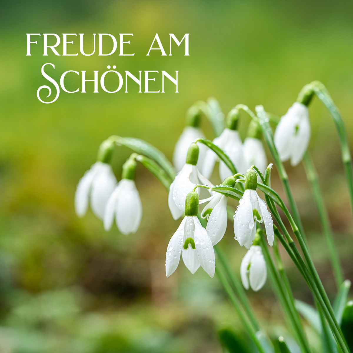 Der Frühling zieht ein Neue Kollektionen sind da